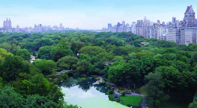 The Plaza Hotel, New York 